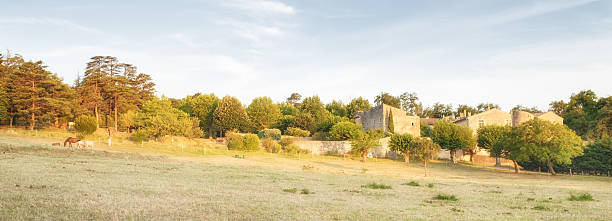 istock Provence village landscape with horses 482195834
