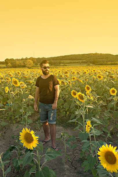 istock Young Man in Sunflower Field 482195838