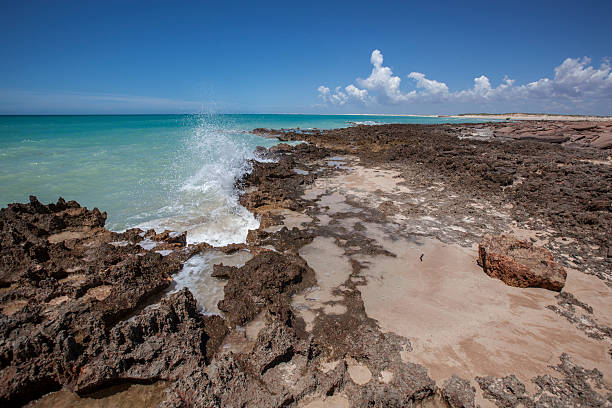 istock Coast of Indian Ocean 482198638