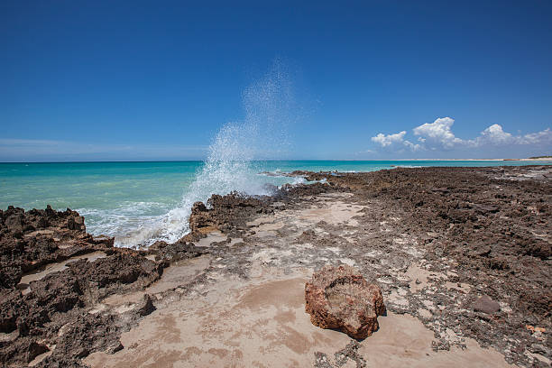 istock Coast of Indian Ocean 482198648