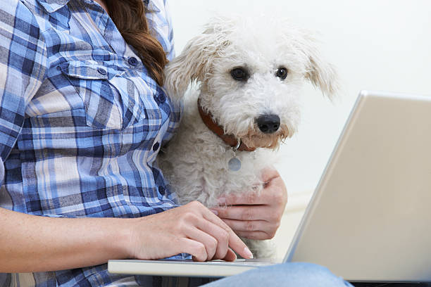 istock Dog Sitting Next To Owner Using Laptop 482199962