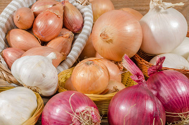 istock Different types of onions, garlic and shallots 482202898