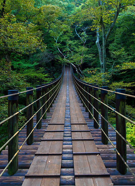 istock Shiomi Falls Suspension Bridge 482203264