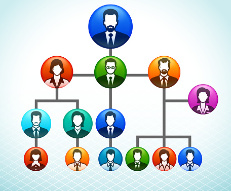 Business Leadership and Corporate Hierarchy Network Chart