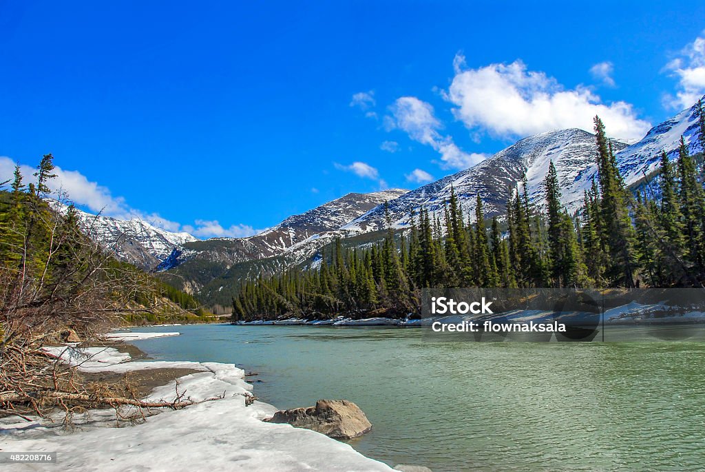 Wild mountain stream in Alaska in Spring Kenai river melting in Spring in Alaska Kenai Mountains Stock Photo