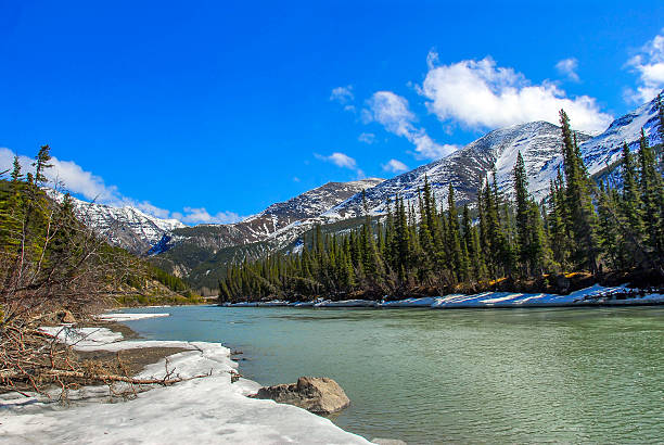 Wild mountain stream in Alaska in Spring Kenai river melting in Spring in Alaska chugach national forest photos stock pictures, royalty-free photos & images