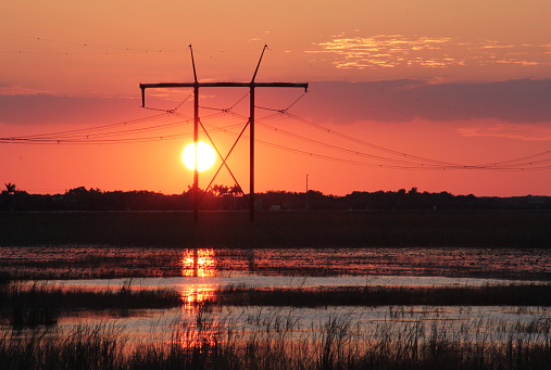 Sun and Power Lines over a swamp at orange  sunset