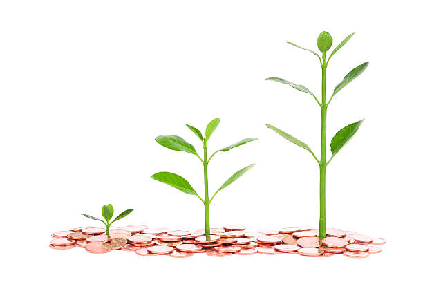 istock growing plant sequence in coin isolated on white background 482212973