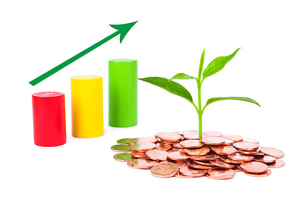 istock growing plant sequence in coin isolated on white background 482213515