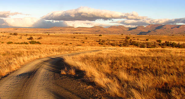 parque nacional de la cebra de montaña, sudáfrica - the karoo fotografías e imágenes de stock