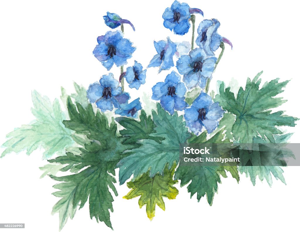 Bush blue anemones. Bush blue anemones. Watercolor vector illustration Blue stock vector