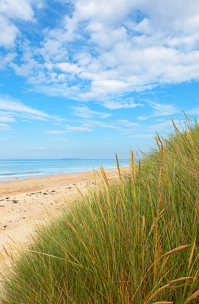 istock Northumberland coastline 482227836