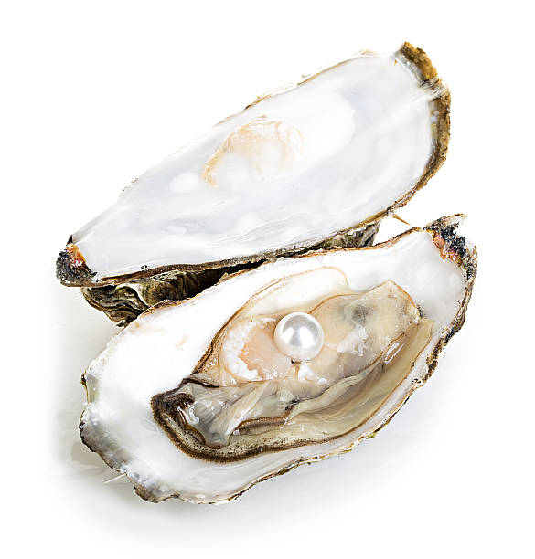 istock Oysters with pearls isolated on white background 482231428