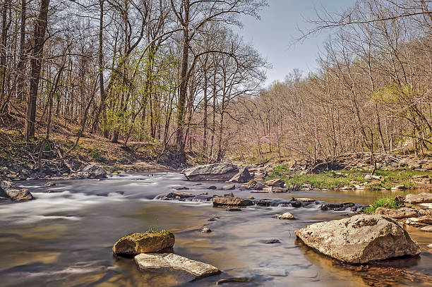 istock Wild Mountain River in Maryland in Spring 482234386