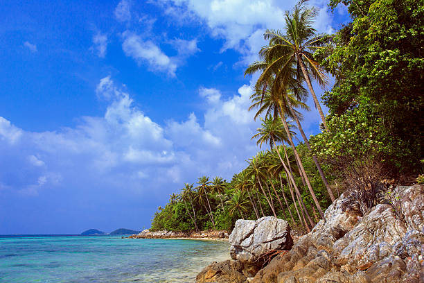 istock Tropical beach Taling Ngam Beach. Koh Samui island. Thailand. 482236620
