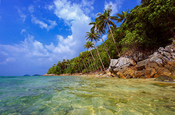istock Tropical beach Taling Ngam Beach. Koh Samui island. Thailand. 482241888