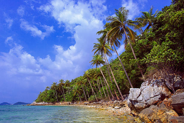 istock Tropical beach Taling Ngam Beach. Koh Samui island. Thailand. 482242058