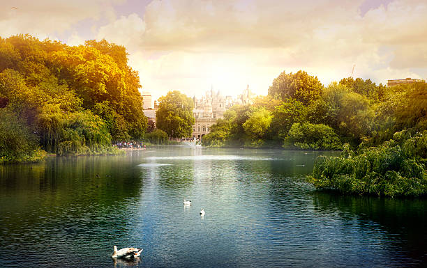 istock London park at sunset, London 482242128
