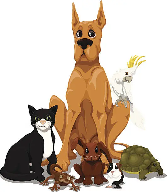 Vector illustration of Pets
