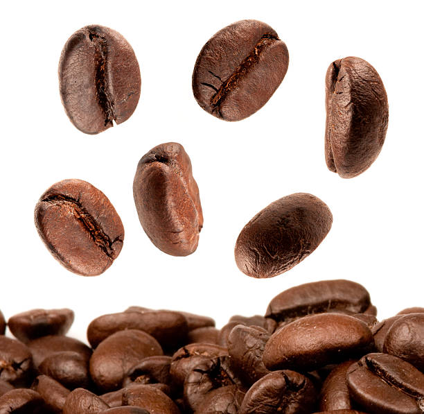 istock Closeup of coffee beans with focus on one 482245095
