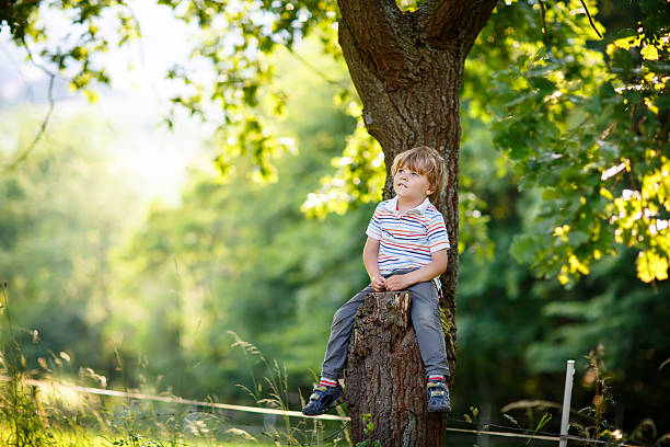 istock Cute little kid boy enjoying climbing on tree 482247820