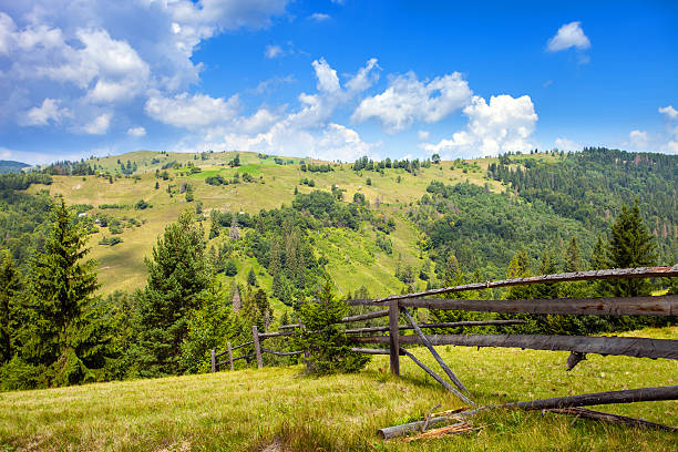 istock mountains view with sky and stones. Carpathian mountains 482255579