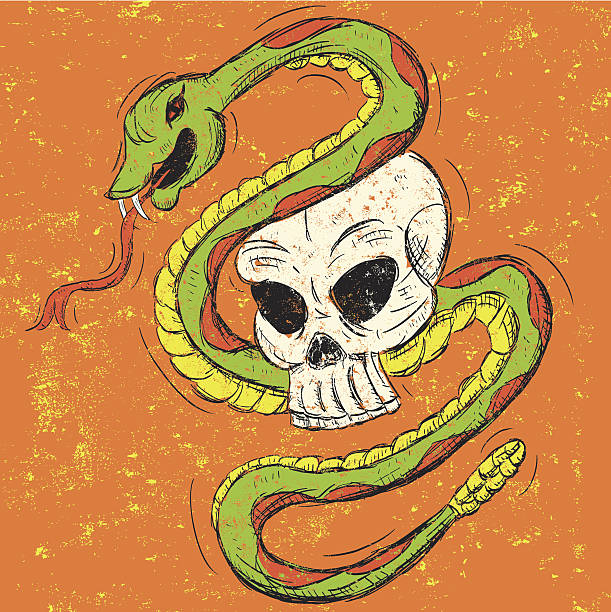 Snake And Skull Stock Illustration - Download Image Now - Abstract, Animal Body Part, Backgrounds - iStock Snake And Skull Stock Illustration - Download Image Now - Abstract, Animal Body Part, Backgrounds - iStock