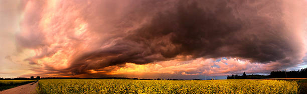 storm panorama - prairie manitoba sunset thunderstorm photos et images de collection