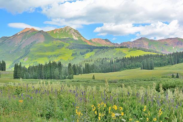 istock Colorado Landscape in Crested Butte Colorado 482262250