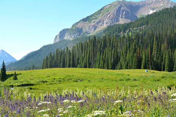 istock Camping in Colorado Mountains 482262252