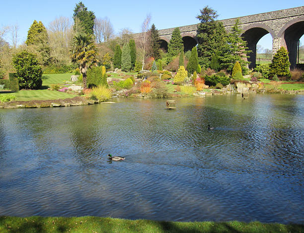 Image of a Mill Pond Image of Mill Pond in the gardens of Somerset, England, UK with viaduct arches in the background burton sussex stock pictures, royalty-free photos & images