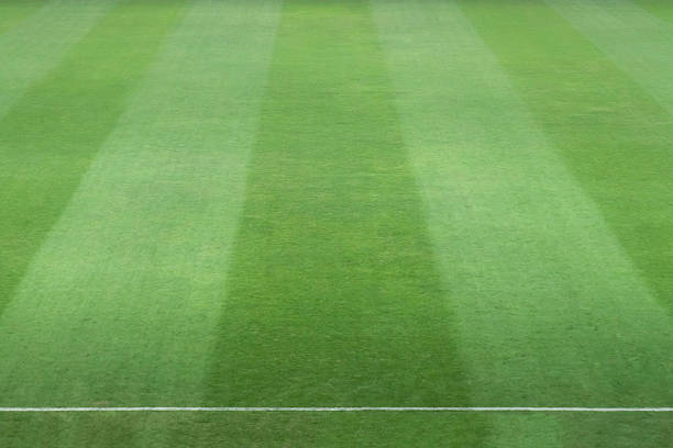 istock Soccer or  football grass field 482266258