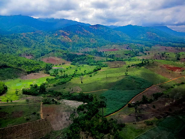 istock tropical agricultural valley on the mountain 482267464