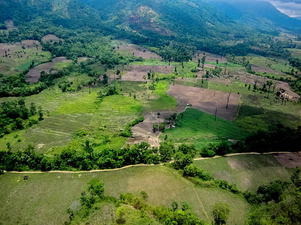 istock tropical agricultural valley on the mountain 482267550