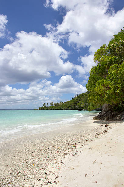 Lifu 80+ Lifou Island Photos Stock Photos, Pictures & Royalty-Free Images ...