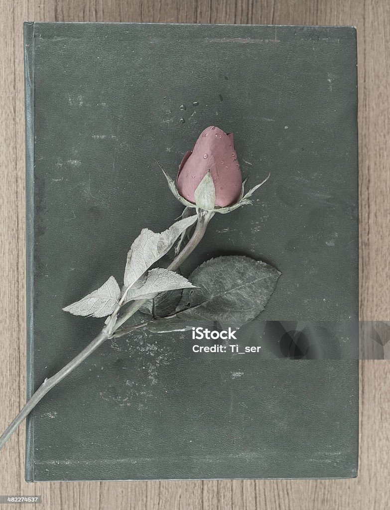 rose and old book Arrangement Stock Photo