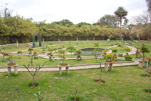 FEBRUARY 25, 2014, BANGALORE, INDIA - Japanese, or Bonsai garden in the park Lal Bagh