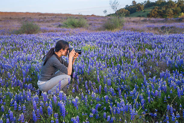 Bluebonnets are blooming, Spring is coming back to north Texas area again.