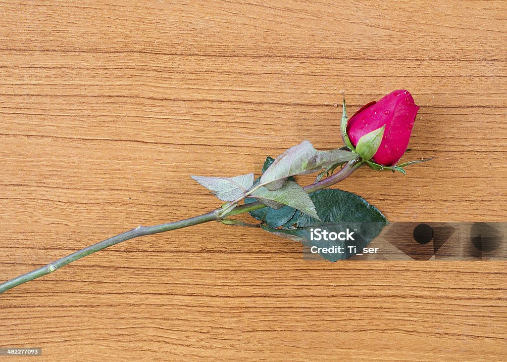 rose on wooden rose on wooden background. Arrangement Stock Photo