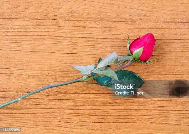 Rose On Wooden Stock Photo - Download Image Now - Arrangement, Auto Post Production Filter, Beauty In Nature