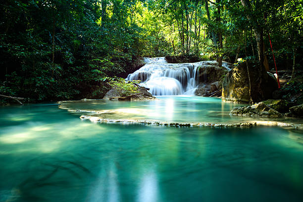 에라완폭포 있는 태국 국립 공원 - waterfall erawan tropical rainforest tree 뉴스 사진 이미지