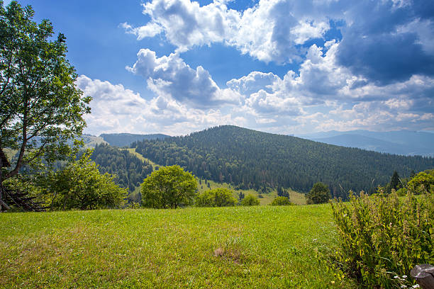 istock mountains view with sky and stones. Carpathian mountains 482277645