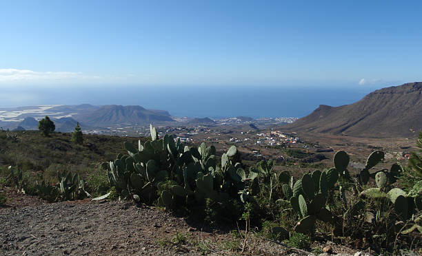 istock Teide Tenerife Canarian island Spain 482281180