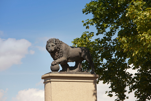 Lion statue in London Trafalgar Square in a sunny summer blue sky day. Called: The Landseer Lions, with National Gallery in background