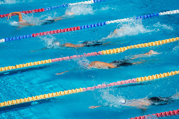 istock Group of Swimmers During the 100m Crawl Race 482287548