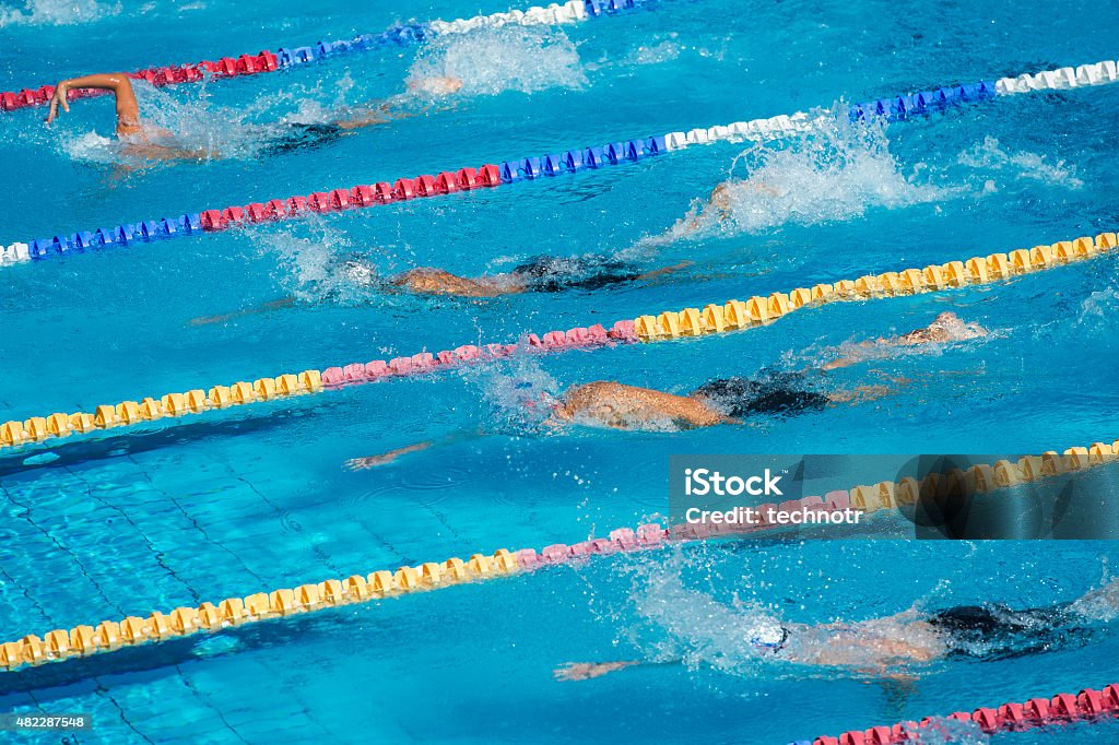 Group of Swimmers During the 100m Crawl Race Upper wiew of four swimmers during the 100m front crawl race Swimming Pool Stock Photo