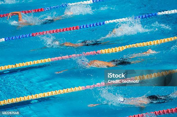 Group Of Swimmers During The 100m Crawl Race Stock Photo - Download Image Now - Swimming Pool, Competition, Freestyle Swimming