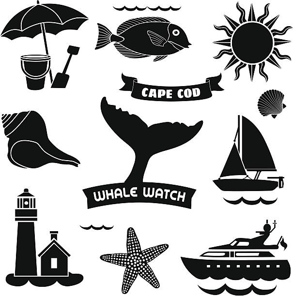 Cae Cod icons Vector icons with a cape Cod theme. cape cod lighthouse sunlight sun stock illustrations