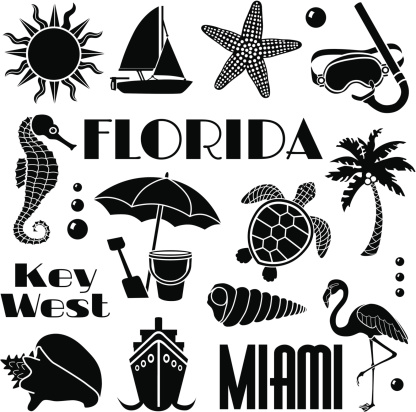 Vector design elements with a Florida theme.