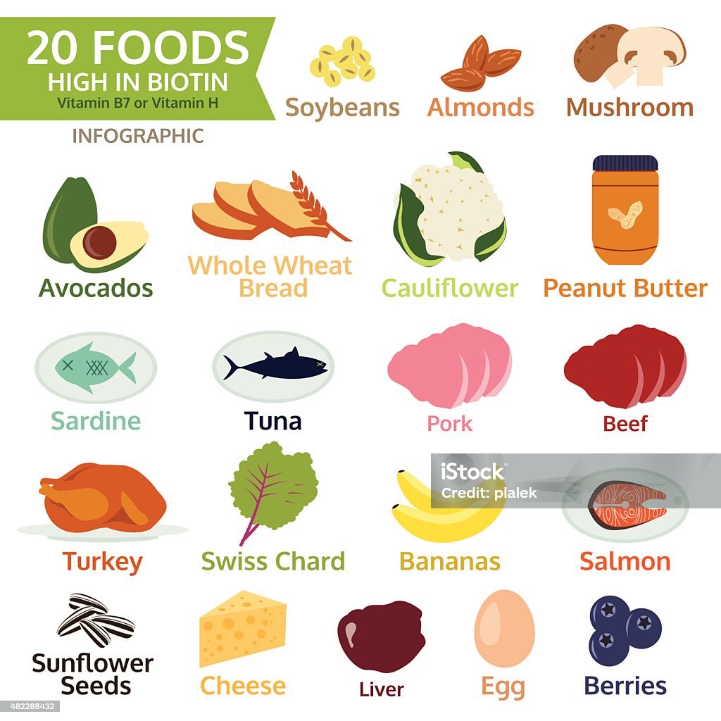 Foods High in Biotin, vegetable, fruit twenty Foods High in Biotin, vitamin B or vitamin H, vegetable, fruit, meat, vector illustration Peanut Butter stock vector